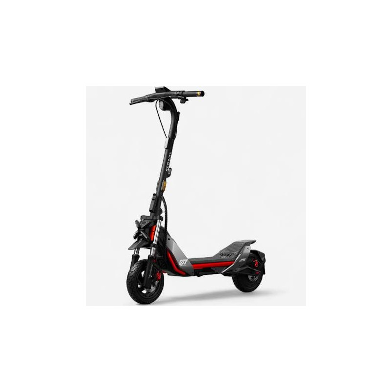 Easy Ride Mountain X - Trottinette électrique tout-terrain puissante
